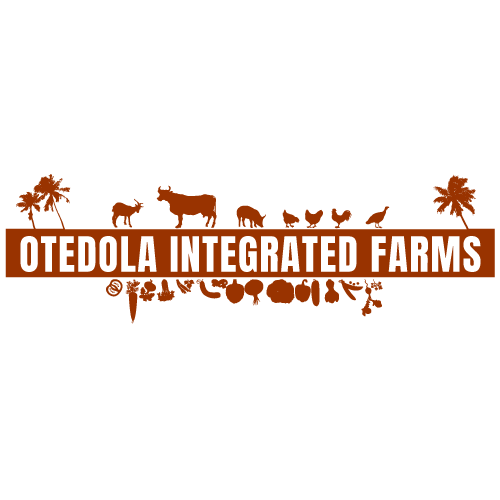 Otedola Integrated Farms